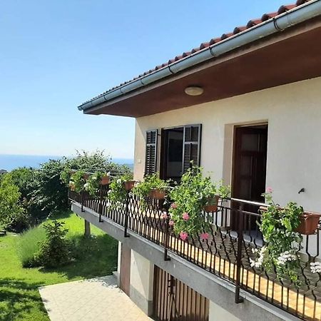 Apartment Perfect Sea View ルツィヤ エクステリア 写真