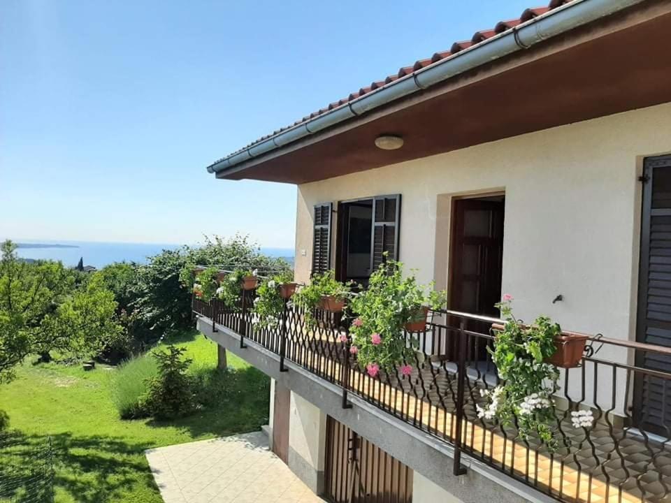 Apartment Perfect Sea View ルツィヤ エクステリア 写真